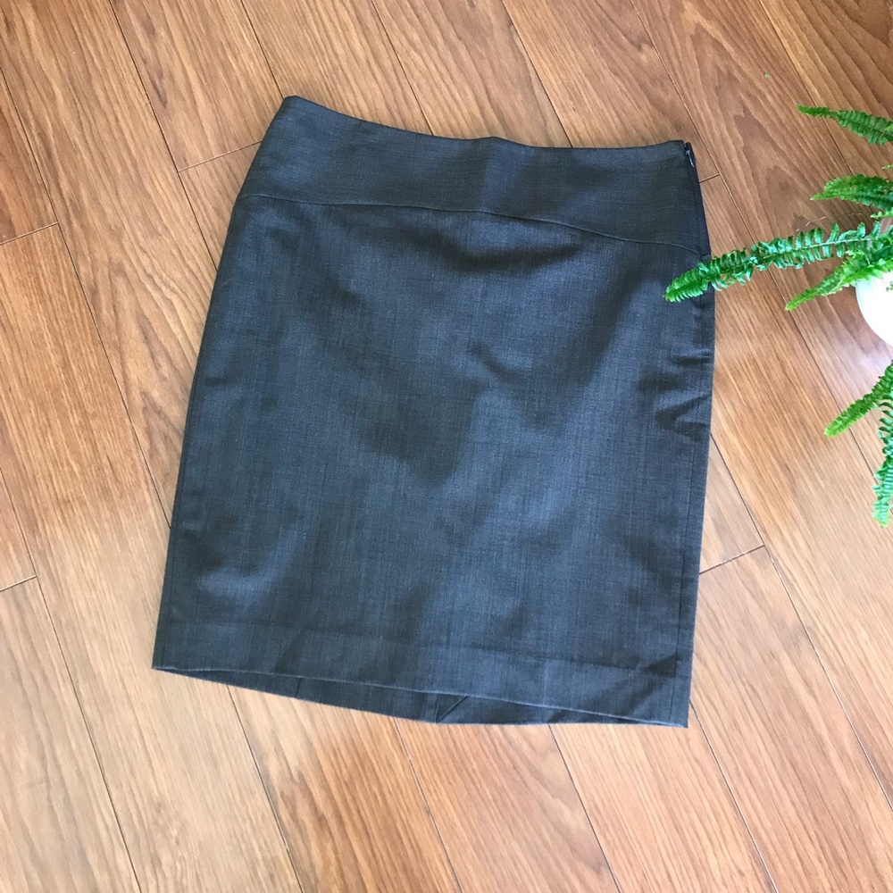 The Limited Travel Collection Pencil Size Skirt 10